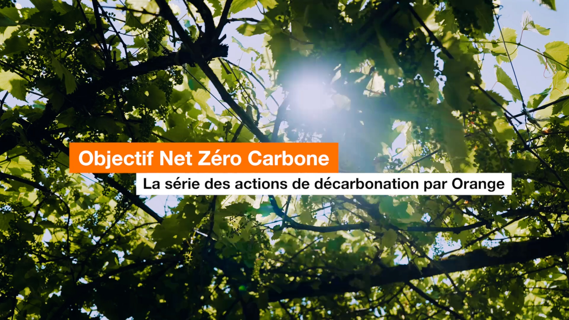 Valentine série orange